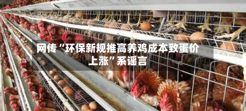 网传“环保新规推高养鸡成本致蛋价上涨”系谣言-第3张图片