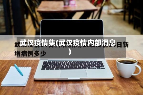 武汉疫情集(武汉疫情内部消息)-第2张图片