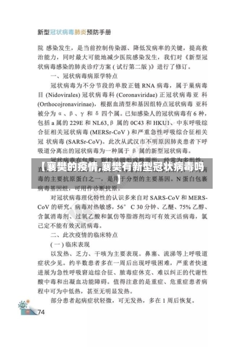【襄樊的疫情,襄樊有新型冠状病毒吗】-第2张图片