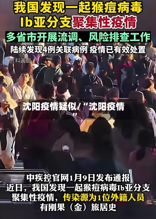 沈阳疫情疑似/“沈阳疫情”-第3张图片