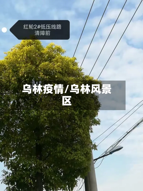 乌林疫情/乌林风景区-第2张图片