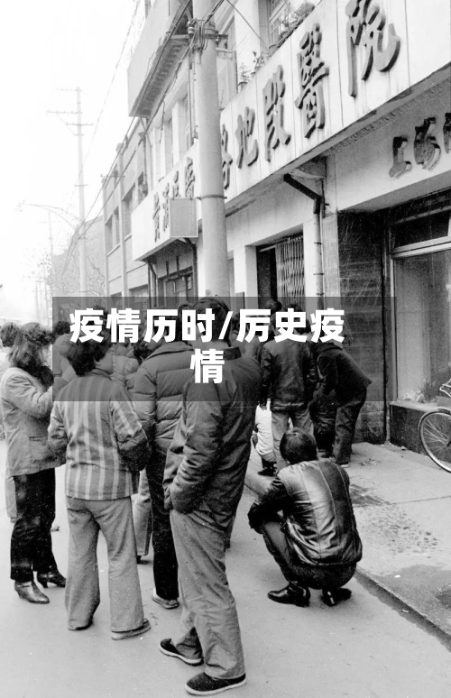 疫情历时/厉史疫情-第2张图片