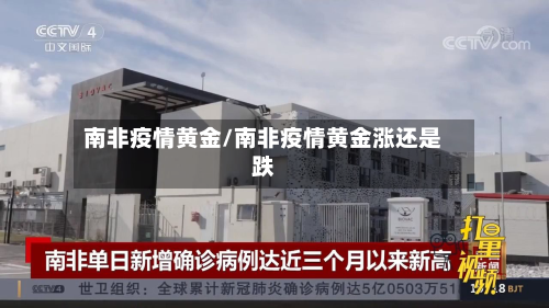 南非疫情黄金/南非疫情黄金涨还是跌-第3张图片