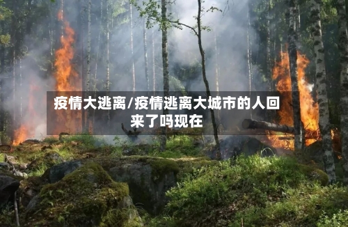 疫情大逃离/疫情逃离大城市的人回来了吗现在-第2张图片