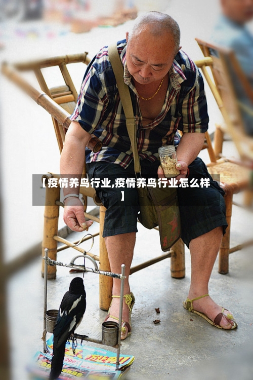 【疫情养鸟行业,疫情养鸟行业怎么样】