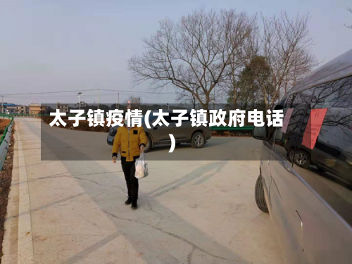 太子镇疫情(太子镇政府电话)