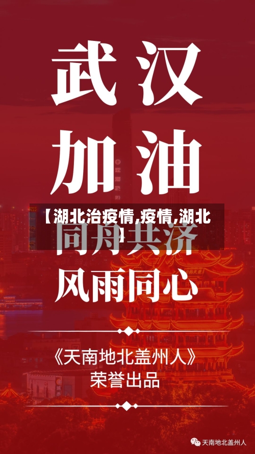 【湖北治疫情,疫情,湖北】
