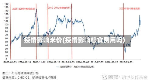 疫情影响米价(疫情影响粮食费用吗)