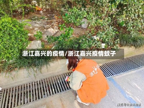 浙江嘉兴的疫情/浙江嘉兴疫情蚊子