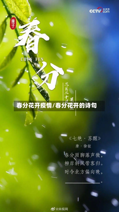 春分花开疫情/春分花开的诗句