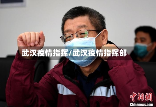 武汉疫情指挥/武汉疫情指挥部