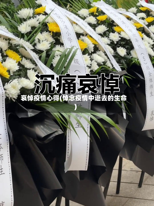 哀悼疫情心得(悼念疫情中逝去的生命)