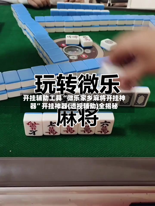 开挂辅助工具“微乐家乡麻将开挂神器”开挂神器{透视辅助}全揭秘