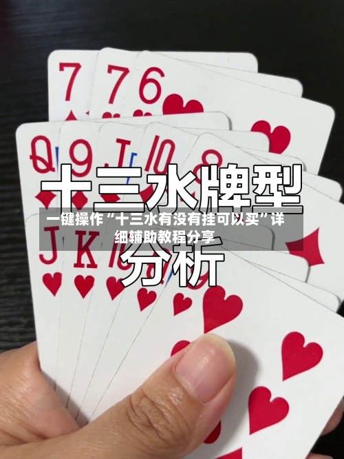 一键操作“十三水有没有挂可以买”详细辅助教程分享