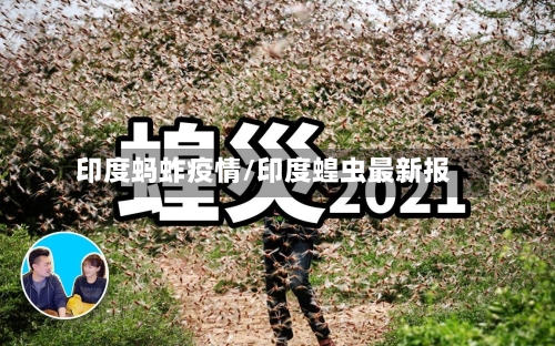 印度蚂蚱疫情/印度蝗虫最新报