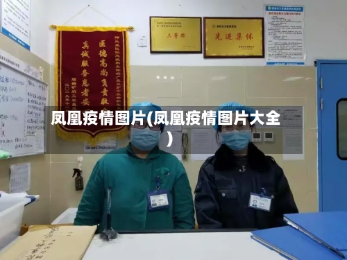 凤凰疫情图片(凤凰疫情图片大全)
