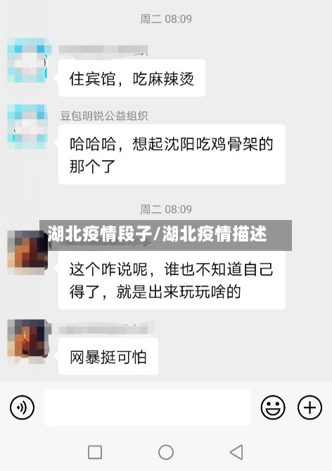 湖北疫情段子/湖北疫情描述