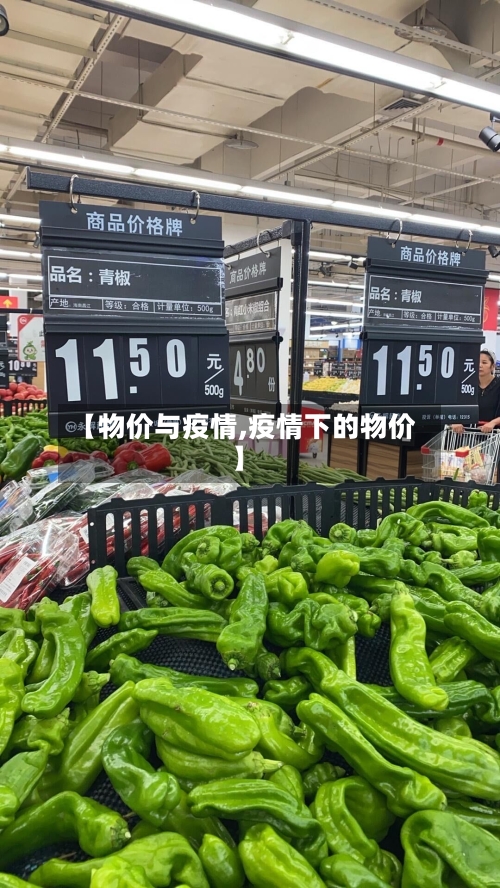 【物价与疫情,疫情下的物价】