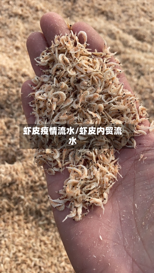 虾皮疫情流水/虾皮内贸流水
