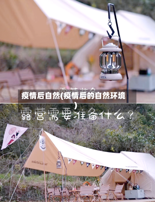 疫情后自然(疫情后的自然环境)