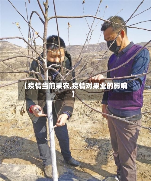 【疫情当前果农,疫情对果业的影响】