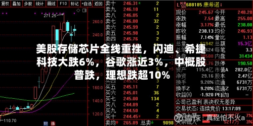 美股存储芯片全线重挫,闪迪、希捷科技大跌6%,谷歌涨近3%,中概股普跌,理想跌超10%