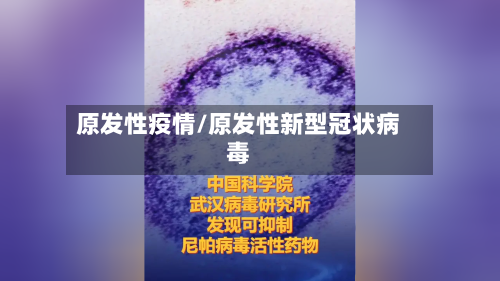 原发性疫情/原发性新型冠状病毒