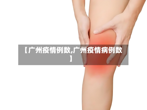 【广州疫情例数,广州疫情病例数】