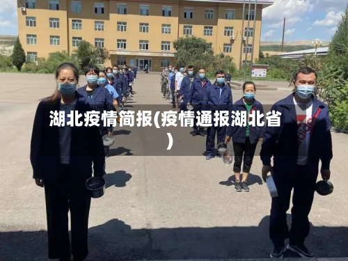 湖北疫情简报(疫情通报湖北省)