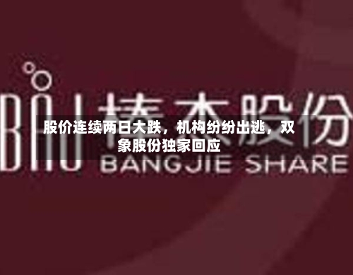 股价连续两日大跌,机构纷纷出逃,双象股份独家回应
