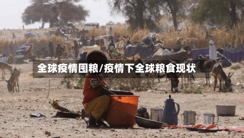 全球疫情囤粮/疫情下全球粮食现状