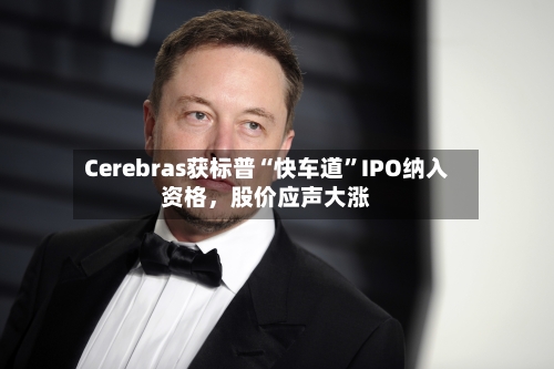Cerebras获标普“快车道”IPO纳入资格,股价应声大涨