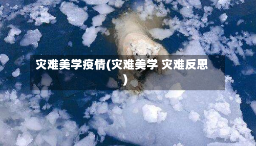 灾难美学疫情(灾难美学 灾难反思)