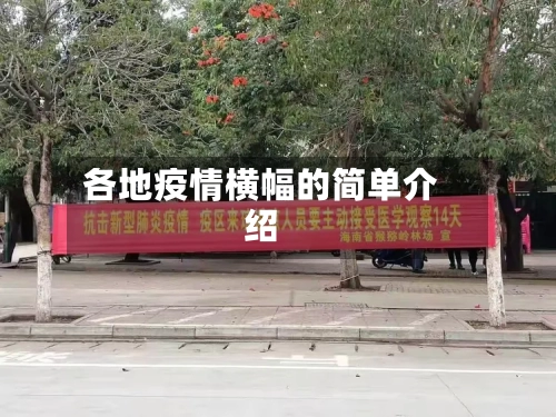 各地疫情横幅的简单介绍