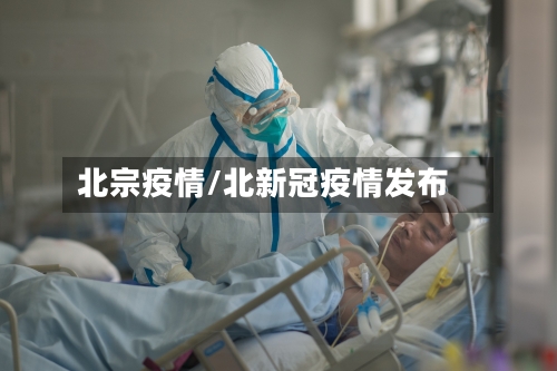 北宗疫情/北新冠疫情发布
