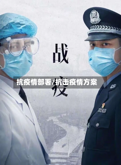 抗疫情部署/抗击疫情方案