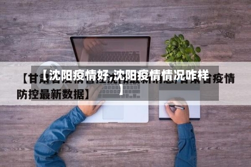 【沈阳疫情好,沈阳疫情情况咋样】