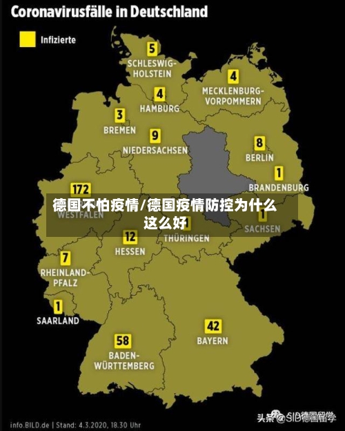 德国不怕疫情/德国疫情防控为什么这么好