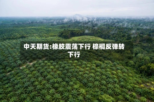 中天期货:橡胶震荡下行 棕榈反弹转下行