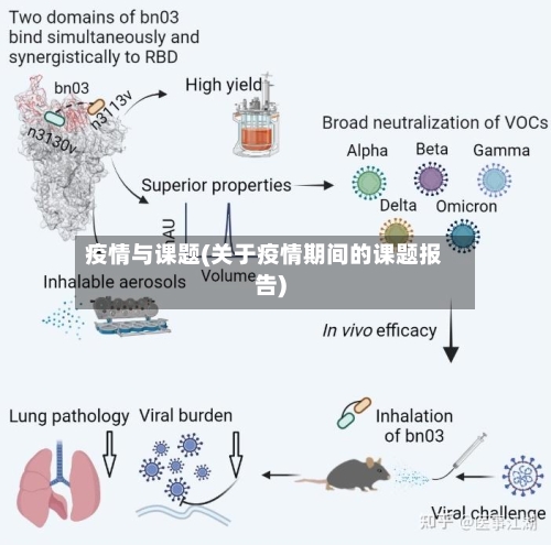 疫情与课题(关于疫情期间的课题报告)