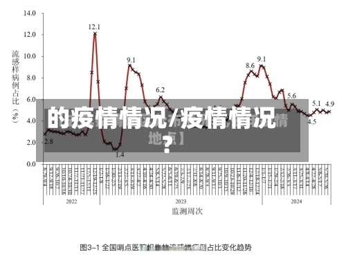 的疫情情况/疫情情况?