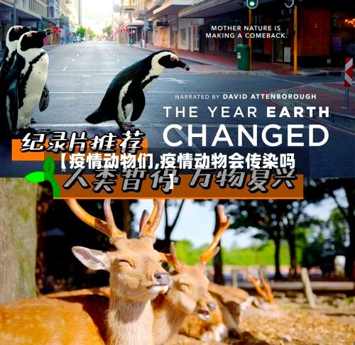【疫情动物们,疫情动物会传染吗】