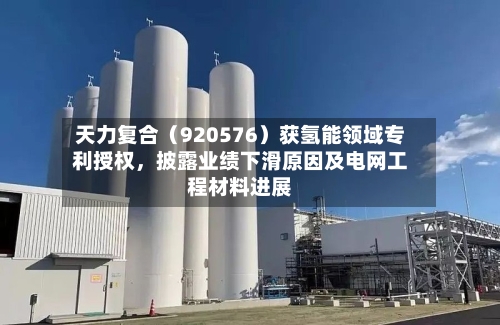 天力复合(920576)获氢能领域专利授权,披露业绩下滑原因及电网工程材料进展