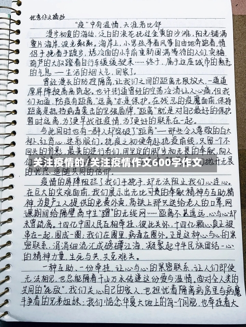 关注疫情的/关注疫情作文600字作文