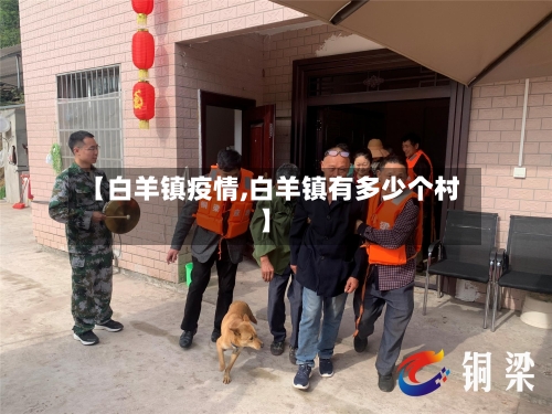 【白羊镇疫情,白羊镇有多少个村】