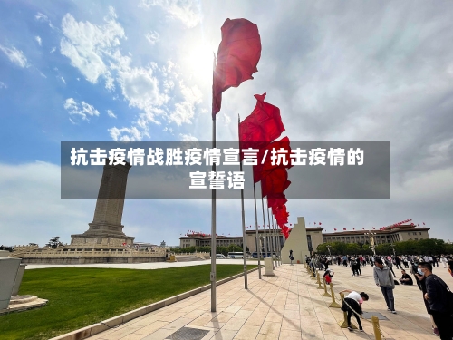 抗击疫情战胜疫情宣言/抗击疫情的宣誓语