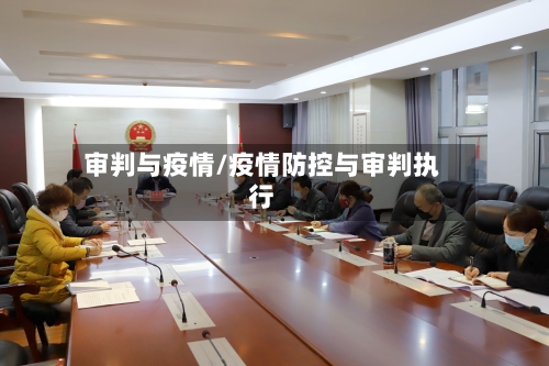 审判与疫情/疫情防控与审判执行