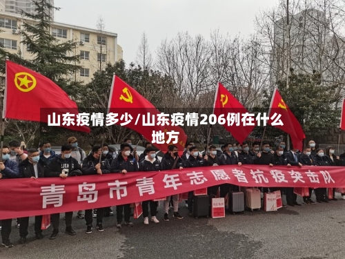山东疫情多少/山东疫情206例在什么地方