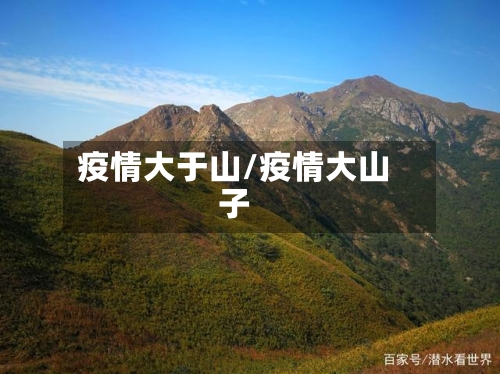 疫情大于山/疫情大山子
