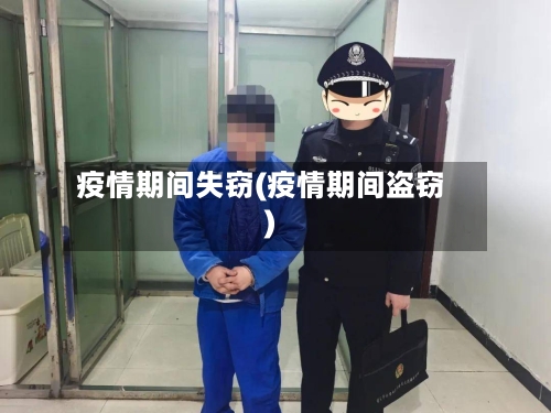 疫情期间失窃(疫情期间盗窃)